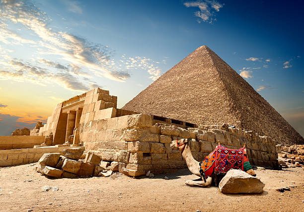 Camel rests near ruins of entrance to pyramid